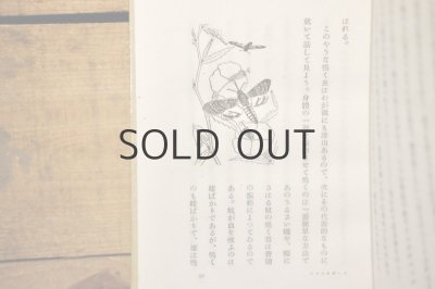 画像7: 【古本】昭和16年(日本昆虫記)