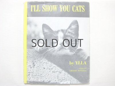 画像1: イーラ「I'LL SHOW YOU CATS」1964年
