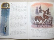 他の写真1: 【ロシアの絵本】絵：ラチョフ、チャルーシン等「絵本・ビアンキ動物記」1973年