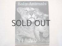 イーラ・写真絵本「Baby Animals」