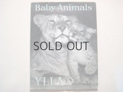 画像1: イーラ・写真絵本「Baby Animals」