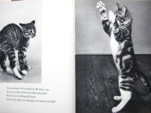他の写真1: イーラ「I'LL SHOW YOU CATS」1964年