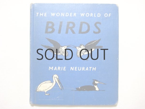 画像1: マリー・ノイラート「THE WONDER WORLD OF BIRDS」1953年 (1)