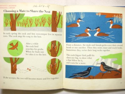 画像2: マリー・ノイラート「THE WONDER WORLD OF BIRDS」1953年