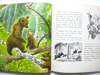 画像3: フェードル・ロジャンコフスキー「BRUIN The Brown Bear」1966年発行