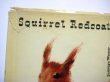 画像2: ヤーヌシ・グラビアンスキー「Squirrel Redcoat」1961年 (2)