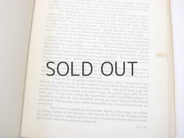 画像5: ヘレン・カーター「The book of living reptiles」1936年 (5)