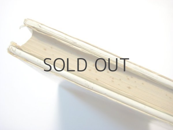 画像2: 寺村輝夫／村上勉「くしゃみらいおん」1977年 (2)