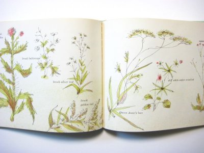 画像2: ジョセフ・ロウ「Flowers and grasses and weeds」1968年