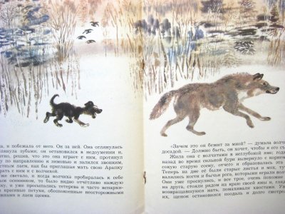 画像1: 【ロシアの絵本】ニキータ・チャルーシン「Белолобый」1979年