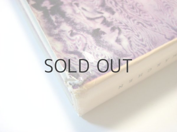 画像3: 【チェコの絵本】イジー・トゥルンカ「MÄRCHEN」1961年 (3)