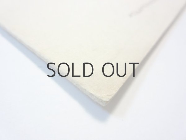 画像3: 【ロシアの絵本】ゴーリキー／エウゲーニー・チャルーシン「Воробьишко」1972年 (3)