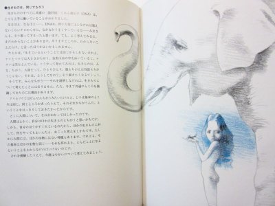 画像3: 中村桂子／宇野亜喜良「生きもののしくみ」1986年