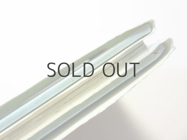 画像3: テッド・ヒューズ／ジェラルド・ローズ「ネス湖のネッシー大あばれ」1980年 (3)