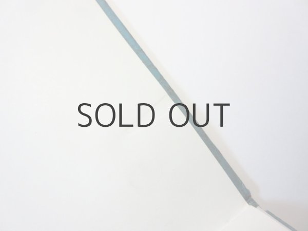 画像5: 【ロシアの絵本】ユーリイ・コヴァーリ／タチヤーナ・マーブリナ「Стеклянный пруд」1978年 ※マーブリナの直筆サイン入り (5)