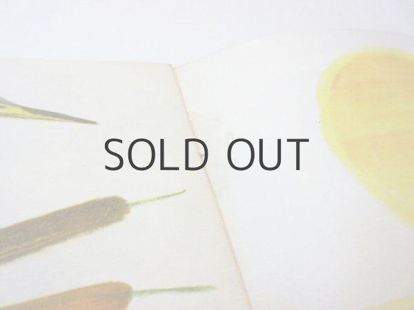 画像3: 【ロシアの絵本】アンドレイ・ブレイ「Отчего лягушка сплющилась」1971年 (3)