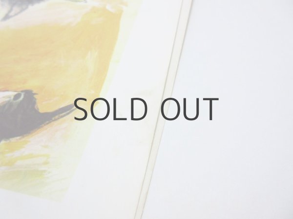 画像9: ヤーノシュ「LAZY BLACKBIRD And Other Verses」1969年 (9)