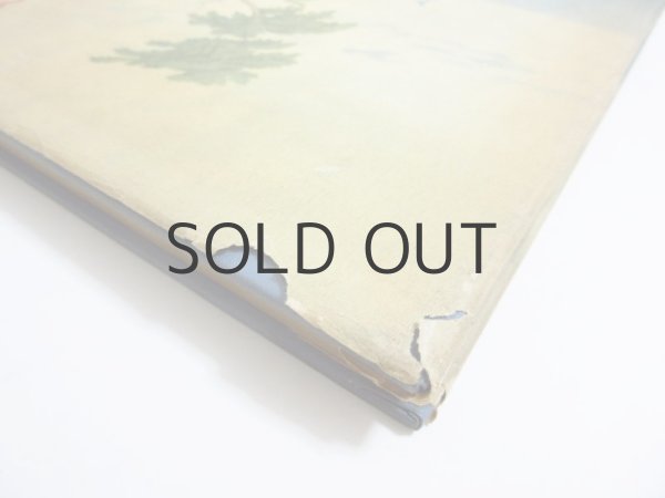 画像3: 【ロシアの絵本】アレクサンドル・プーシキン／B. デフテレヴァ「Сказки」1953年 (3)