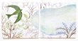 画像3: 【CD／新品】 サボテン高水春菜「夢の森」2017年 ※森野美紗子／画 (3)