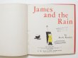 画像6: カーラ・カスキン「JAMES AND THE RAIN」1957年 (6)