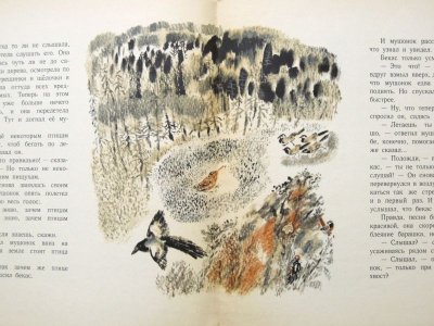 画像2: 【ロシアの絵本】ユーリー・ドミトリエフ／ニキータ・チャルーシン「Для чего птицам хвост」1973年