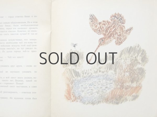 画像6: 【ロシアの絵本】ユーリー・ドミトリエフ／ニキータ・チャルーシン「Для чего птицам хвост」1973年 (6)