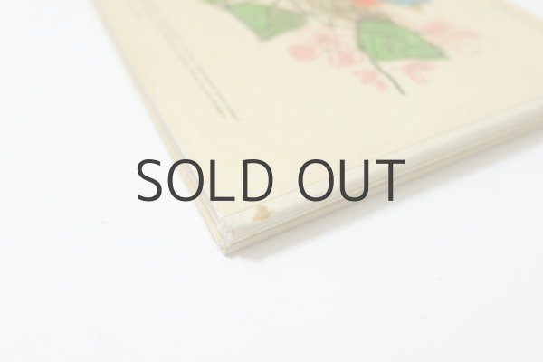 画像2: レイク・カーロイ「Itt a tavasz」1967年 (2)