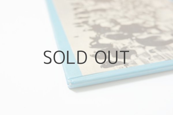 画像2: アレクサンドル・コチェトコフ「Egy pingvinfioka tortenete」1973年 (2)