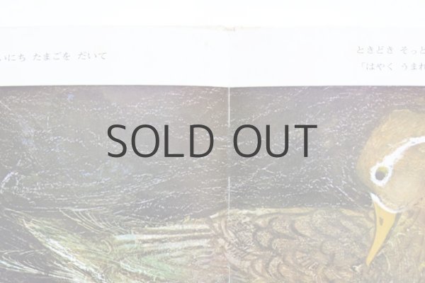 画像7: ブライアン・ワイルドスミス「かものこぐるぐる」1976年 (7)