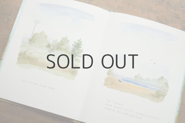 画像3: 【新品】ゾロトウ／エリック・ブレグヴァド「あたらしいぼく」 (3)