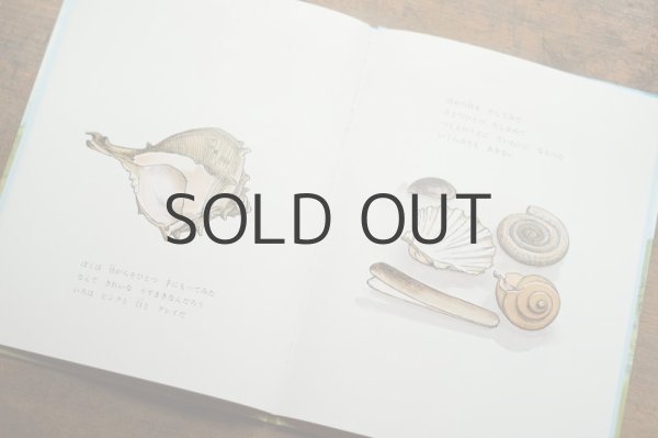 画像4: 【新品】ゾロトウ／エリック・ブレグヴァド「あたらしいぼく」 (4)