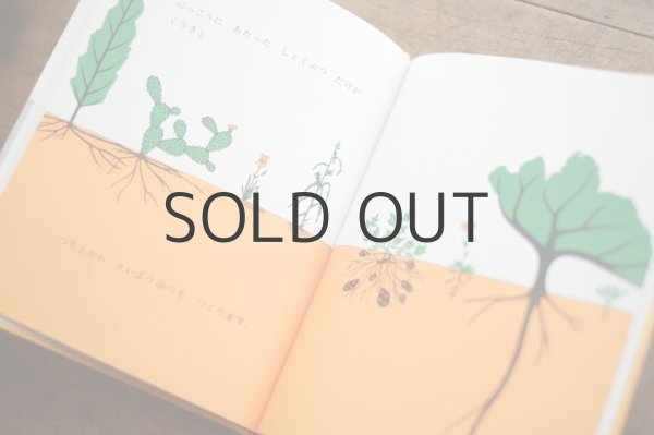 画像5: 【新品】アーマ・E・ウェバー「じめんのうえとじめんのした」 (5)