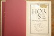 画像6: トラネコボンボン(中西なちお)「HORSE」2017年 ※新品 (6)