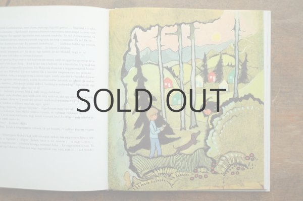 画像6: 【古本】1980年（Majka） (6)