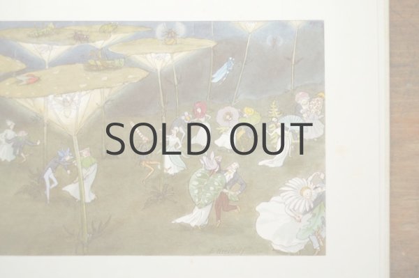 画像6: 【古本】1974年（Blumenmarchen） (6)