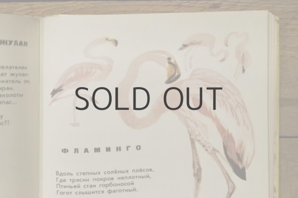 画像7: 【古本】 1976年（Птичий хоровод） (7)