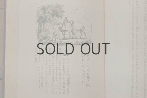 画像4: 【古本】昭和30年（新訳アンデルセン童話集） (4)