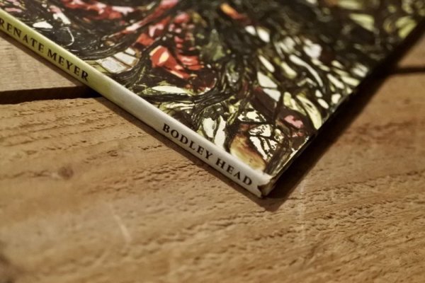 画像7: 【古本】1969年（Hide-and-Seek） (7)