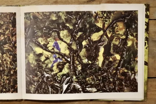 画像3: 【古本】1969年（Hide-and-Seek） (3)