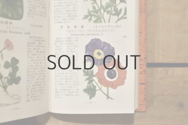 画像9: 【古本】昭和29年（学生版原色植物図鑑） (9)