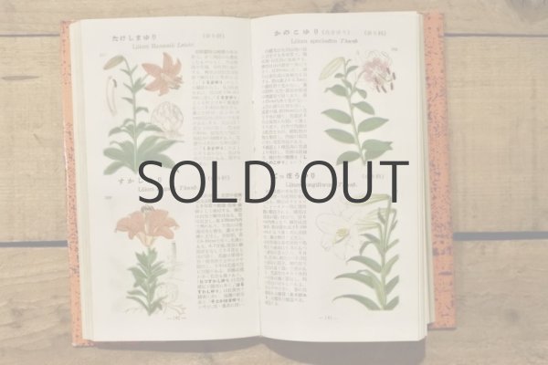 画像4: 【古本】昭和29年（学生版原色植物図鑑） (4)