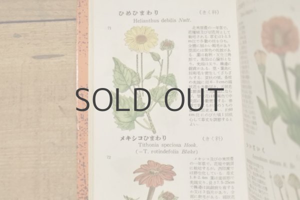 画像8: 【古本】昭和29年（学生版原色植物図鑑） (8)