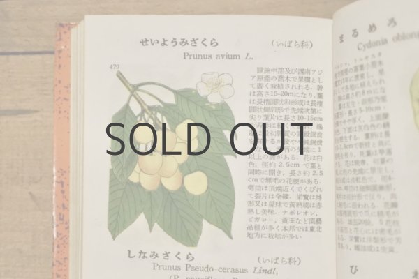 画像6: 【古本】昭和29年（学生版原色植物図鑑） (6)