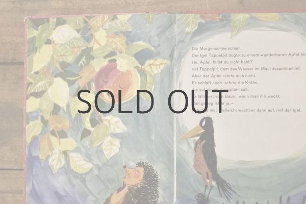 画像3: 【古本】1964年（Tappelpit） (3)