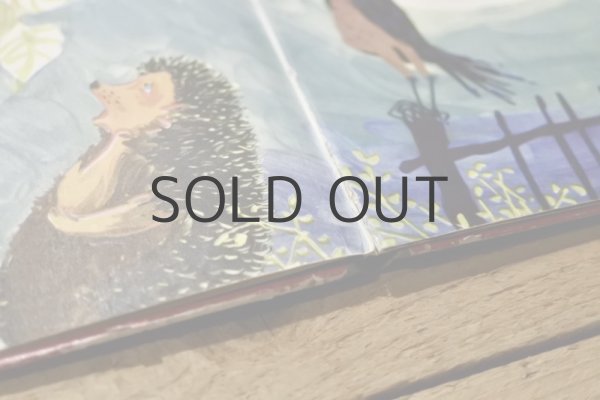 画像8: 【古本】1964年（Tappelpit） (8)