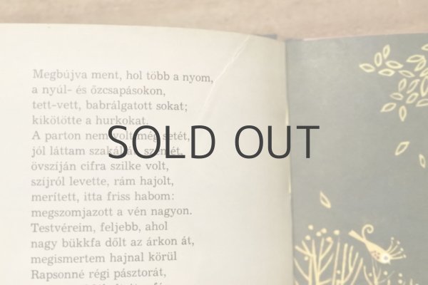 画像8: 【古本】1972年（Alom a var alatt） (8)