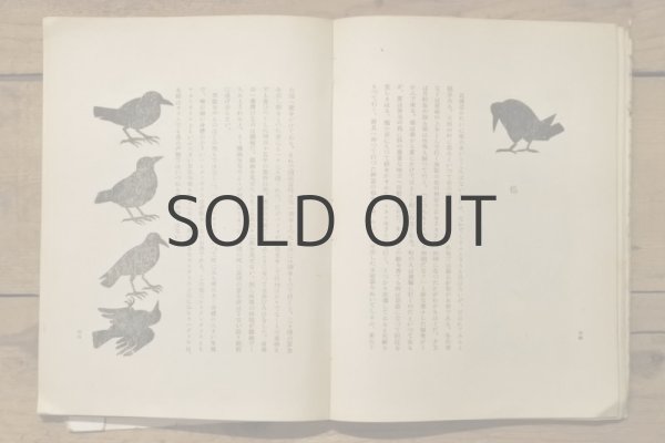 画像11: 【古本】昭和24年（北海道繪本） (11)