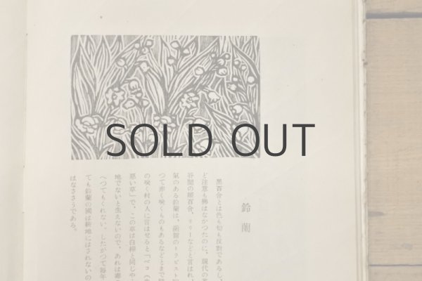 画像7: 【古本】昭和24年（北海道繪本） (7)