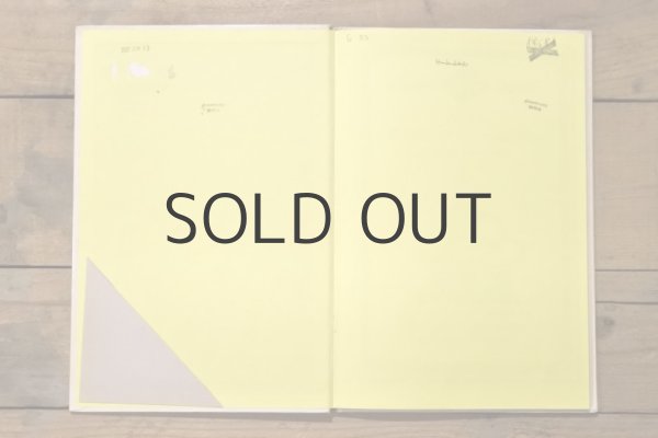 画像13: 【古本】1975年（Vom dummen Iwanuschka） (13)