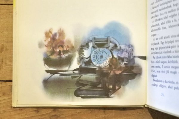 画像5: 【古本】1981年（Medvekeresztelő） (5)